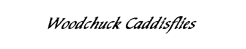 Woodchuck Caddisflies