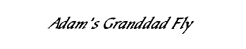 Adam's Granddad Fly