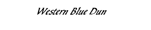       Western Blue Dun