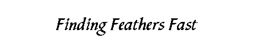 Finding Feathers Fast