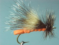 foam stonefly