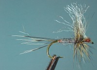 adams-widowsweb-200-90.jpg