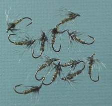 genehall-dz-softhackle-225.jpg