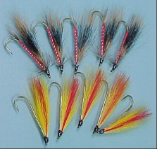 alberto-dozen-213h.jpg