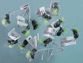 bobbalough-dz-ants-213h.jpg
