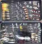 Img248.jpg