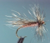 chuckcaddis-guardhair-100.jpg